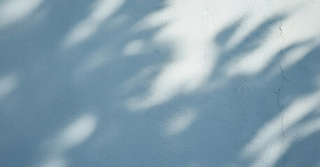 Obraz premium Shadows of leaves are projected onto a light blue wall surface, forming a calm minimalist scene that feels serene, airy, and visually harmonious with soft subtle light.