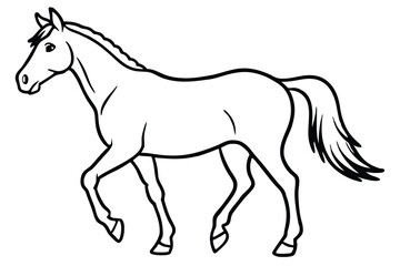 Walking Horse with Black Outline, Side View on White Background Design