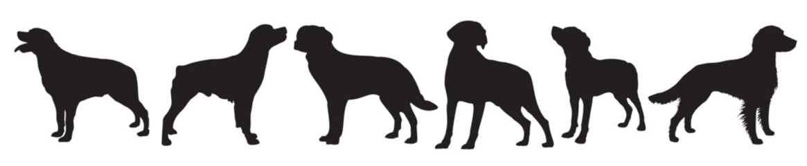 brittany dogs silhouette on white background vector illustration