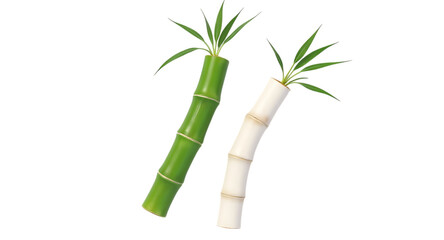 Two bamboo stems isolated on transparent background