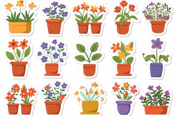 Obraz premium Set of potted flowers