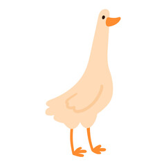 Simple flat standing goose with long neck and webbed feet, isolated on white. Suitable for kids content, farm themes, and animal projects