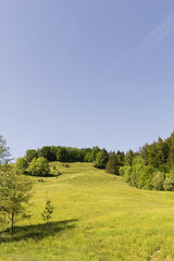 Landschaft im Allgäu