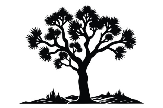 Joshua Tree Silhouette with Spiky Leaves Isolated on White Background, Desert Plant