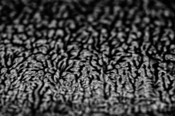 Black and white texture abstract background paint, shapes of branches or cracks on the surface to overlay