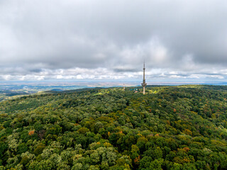 Destroyed TV Tower Rising Above the Forest Canopy