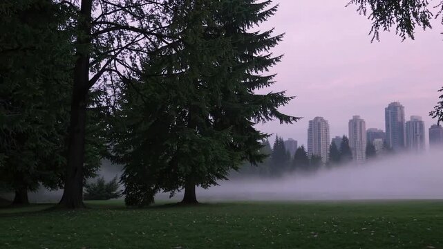 Light roseate heavens and low-lying vapor with urban vista from natural recreational area