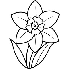 hand drawn daffodil flower