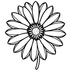 White flower isolated on transparent background