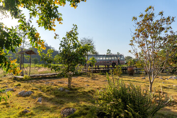 old bus in the garden