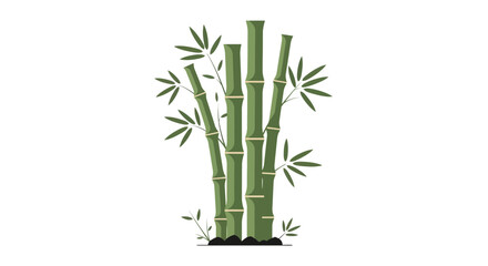 Fototapeta premium Illustration of bamboo stalks with lush leaves and a minimalistic style
