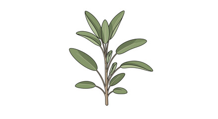 Fototapeta premium Stylized digital illustration of sage plant against a white backdrop