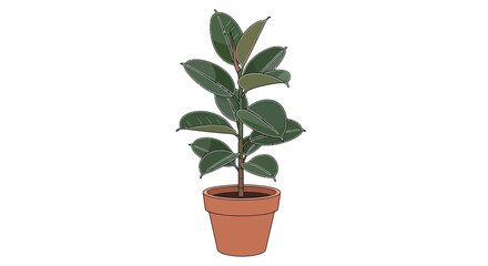 Obraz premium Stylized Rubber Plant Illustration in Brown Pot on a White Background
