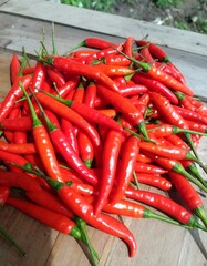 Pile of bright red chili peppers
