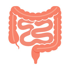 Illustration of Large and Small Intestine