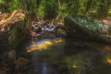 River in the Bagnols-en-Forêt forest, France, Provence Alpes Côte d'azur