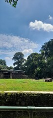 A large rhinoceros rests in its spacious green habitat at a wildlife park on a beautiful sunny day with blue skies and lush trees