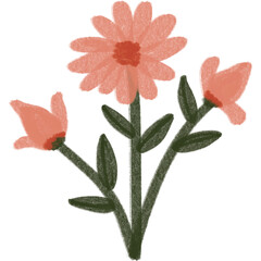 pink flower isolated