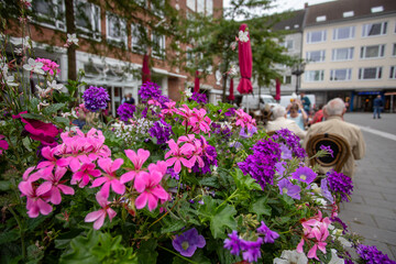flowers in the downtown caffee