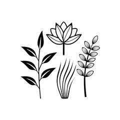 Botanical Outline Icons Pack  Tropical Leaf, Flower & Nature Vector