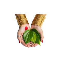 A woman holding a leaf in her hands - Transparent Background
