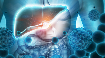 Human liver anatomy with virus bacteria. 3d illustration