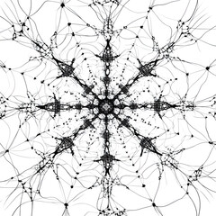 Fototapeta premium Organic black line mesh forming a snowflake pattern, isolated on white