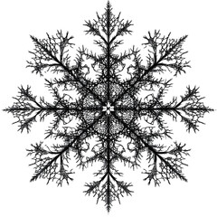Organic black line mesh forming a snowflake pattern, isolated on white