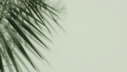 Obraz premium Minimalist Palm Frond Shadow on Textured Light Green Wall, Tropical Aesthetic