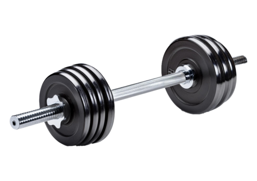 Barbell Isolated on Transparent or White Background.