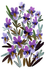Watercolor pansies illustration