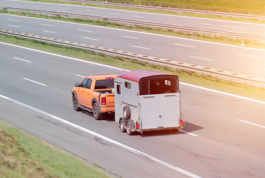 Modern Rear Loading Herringbone Horse Ponie Transportation Trailer