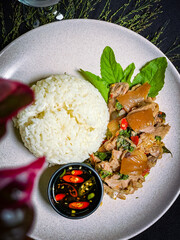 Stir-fried  pork leg with holy basil served over rice, a popular Thai street food dish full of spicy and aromatic flavors.