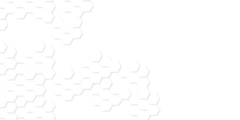 Background with hexagons . Abstract background with lines . white texture background . hexagon abstract background. Surface polygon pattern with glowing hexagon paper texture and futuristic business