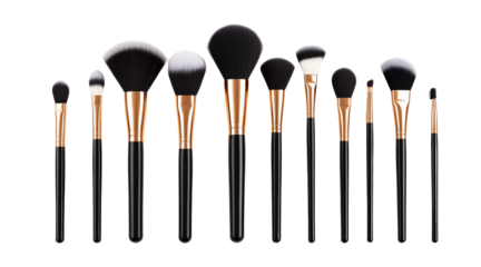 Blush Makeup Brush Set, 11 Piece Black and Gold Professional Cosmetic Brushes transparent Background
