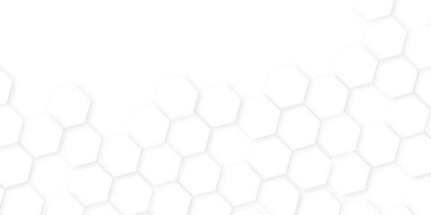 Abstract background with hexagon, modern abstract vector polygonal pattern. Futuristic honeycomb mosaic white background,white and gray hexagon honeycomb geometric copy space.