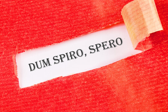 Dum Spiro Spero - latin phrase means While I Breath, I Hope. on a white background under torn paper
