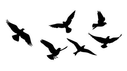 Birds in Flight and Perched silhouette flying