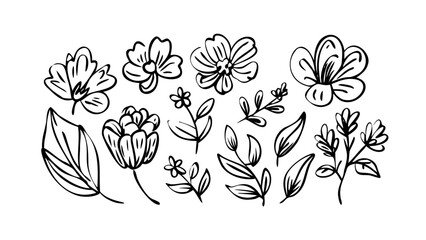 Blooming floral elements and leaves flowers botanical