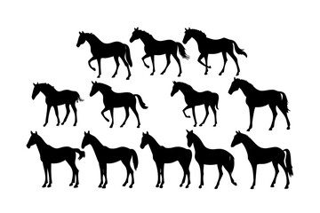 Vector art of a collection of horse silhouettes in various poses, showcasing different gaits and stances of these majestic animals