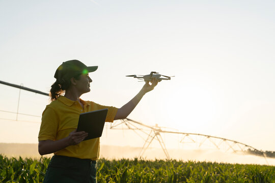 Farmer using drone and tablet for smart farming in irrigated field at sunset
