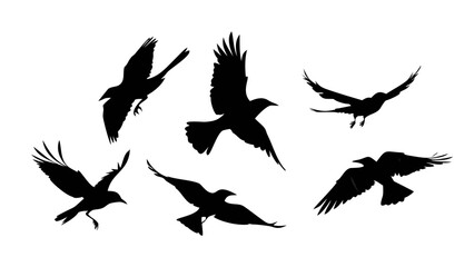 Flock of Crows in Flight black birds