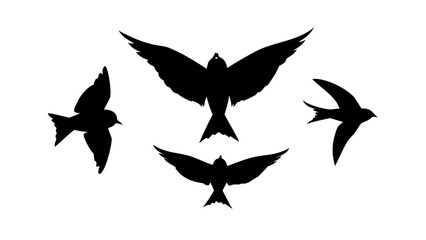 Flying Sparrows Silhouette birds illustration