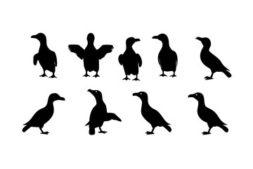 Vector art of silhouette of cormorants, a group of birds in various poses, vector illustration with black shapes, wildlife and nature concept