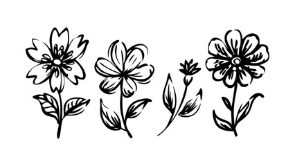 Hand Drawn Ink Flowers and Leaves floral botanical