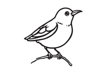 Bowerbird vector line art 