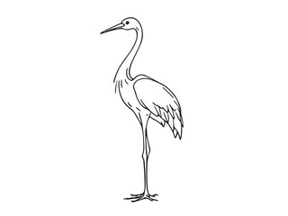 Crane line art illustration