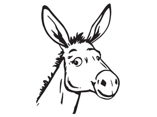 Donkey line art illustration