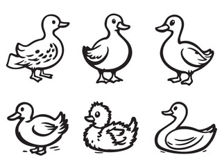 Duck line art illustration