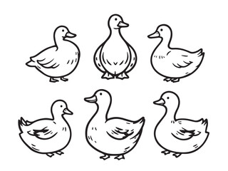 Duck line art illustration